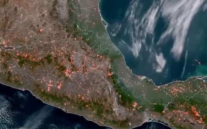 En México 120 incendios forestales arrasan más de 7 mil 137 hectáreas en 19 estados