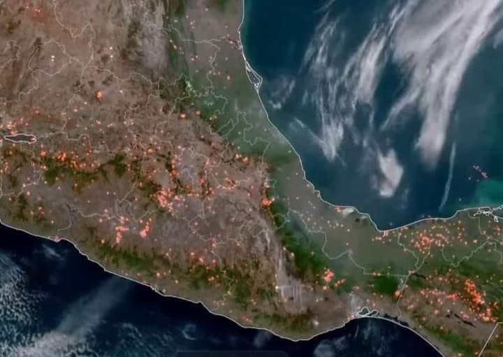 En México 120 incendios forestales arrasan más de 7 mil 137 hectáreas en 19 estados