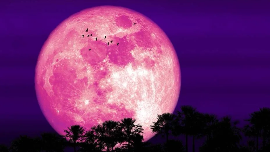 Luna Rosa, hoy el cielo nos regalará un espectáculo visible en todo el mundo