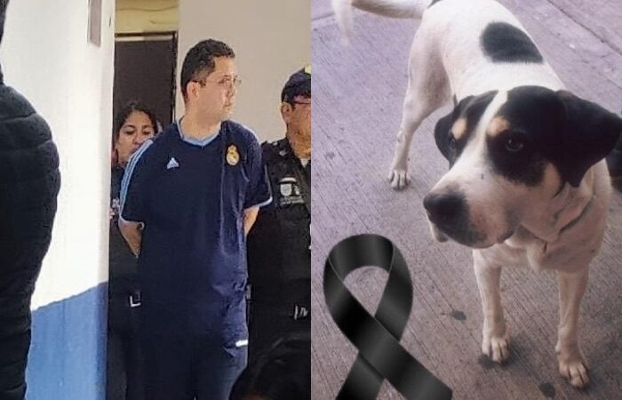 Militar de la SEDENA mató con crueldad al perro «Max», le disparó 7 veces