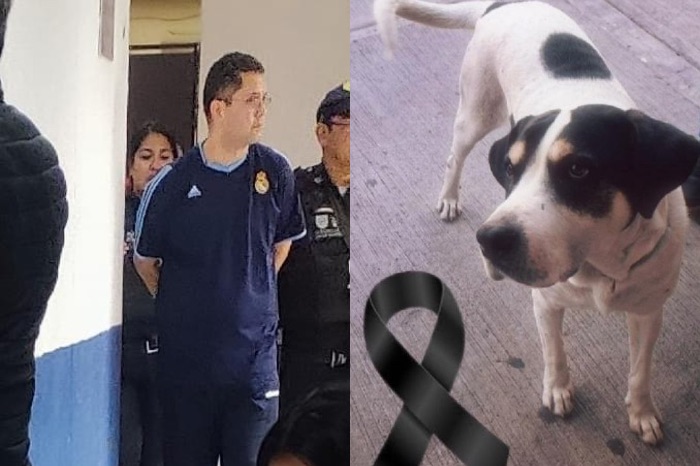 Militar de la SEDENA mató con crueldad al perro «Max», le disparó 7 veces