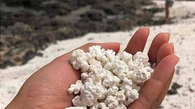 La Playa de las Palomitas en España