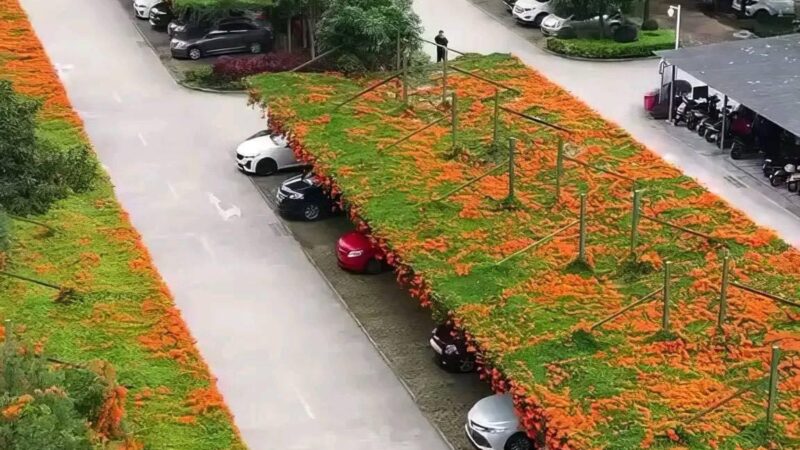 Japón instala jardines flotantes en estacionamientos públicos
