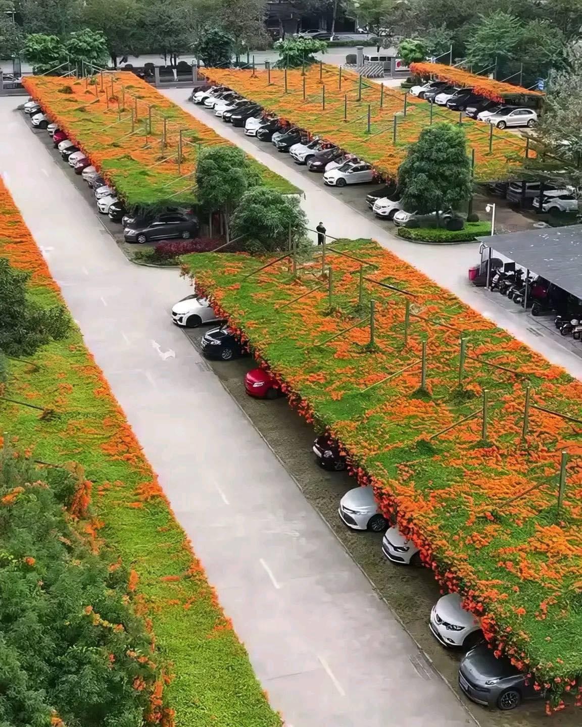 Japón instala jardines flotantes en estacionamientos públicos