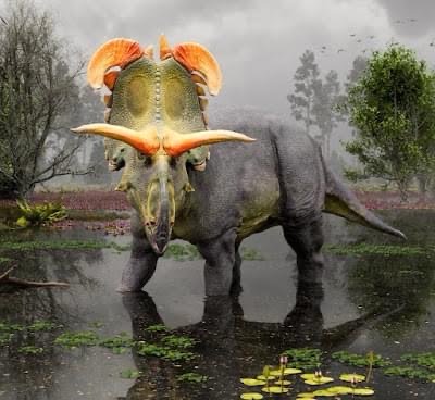 Descubrimiento del Lokiceratops Rangiformis: Un Nuevo Dinosaurio con Impresionantes Cuernos