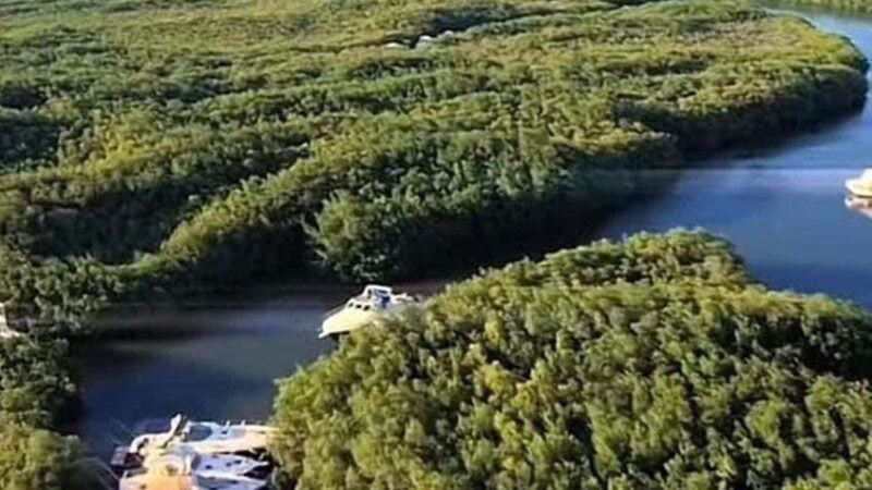 Resguardan Yates de Lujo en los Manglares de Cancún para protegerlos del Huracán “Beryl”