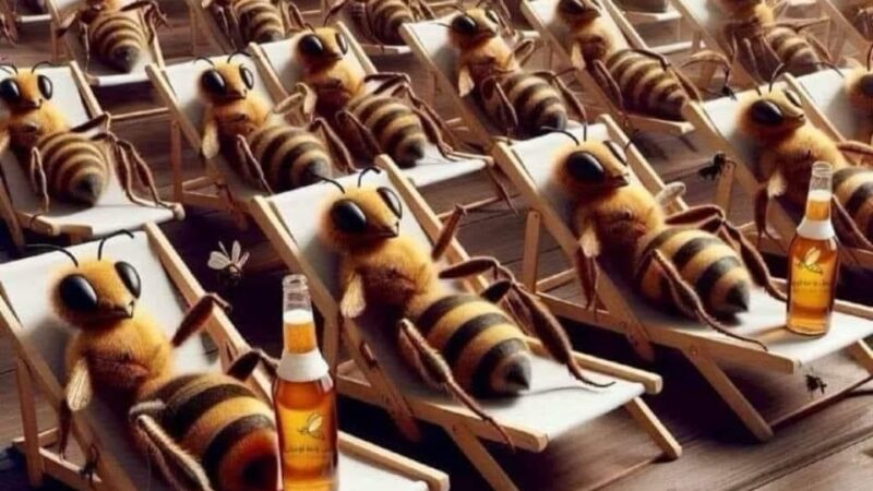 ¿Lo sabías? Los celtas creían que las abejas eran intermediarios entre este mundo y el siguiente