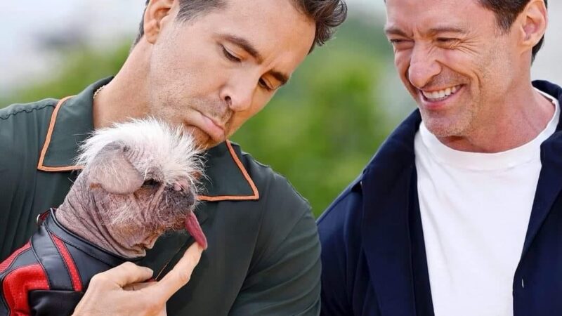 El actor Ryan Reynolds quiso adoptar a Peggy la perrita que interpreta a Dogpool