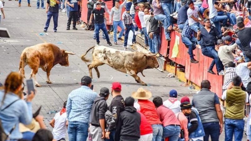 21 personas heridas por embestida de toros en Tlaxcala ,uno se encuentra grave