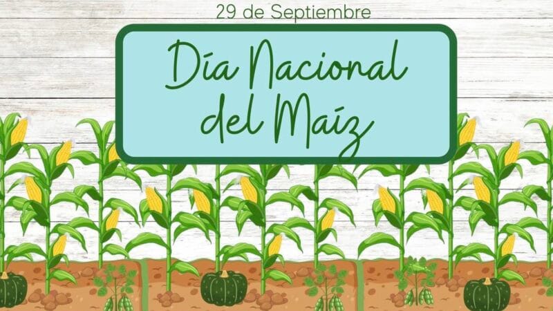 Día Nacional del Maíz: la esencia de México