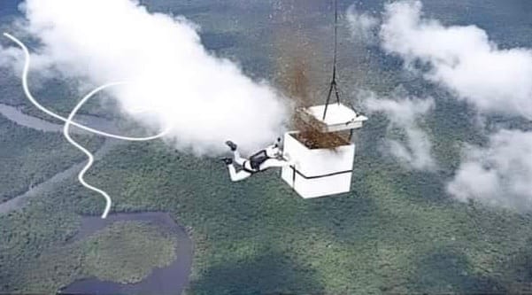 Lanzan desde el cielo más de 100 millones de semillas en el Amazonas