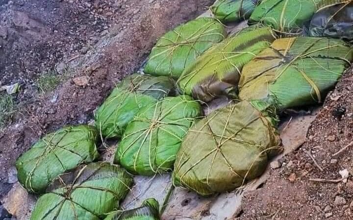 Pib o mukbipollo; un tamal muy especial de Día de Muertos