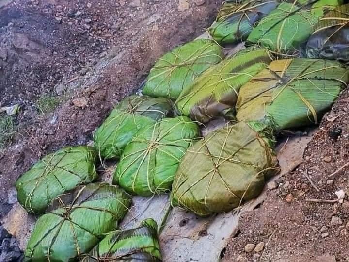 Pib o mukbipollo; un tamal muy especial de Día de Muertos