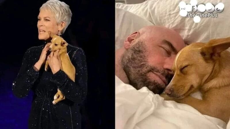 En la ceremonia de los Oscars de 2022, la actriz Jamie Lee Curtis apareció cargando a un perro llamado “Mac N Cheese”