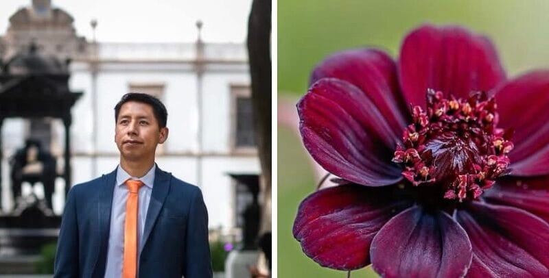 CHIAPANECO RESCATA FLOR EXTINTA Y ES GALARDONADO POR SU APORTE A LA CIENCIA MEXICANA