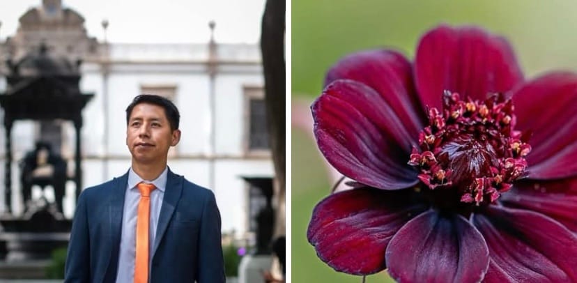 CHIAPANECO RESCATA FLOR EXTINTA Y ES GALARDONADO POR SU APORTE A LA CIENCIA MEXICANA
