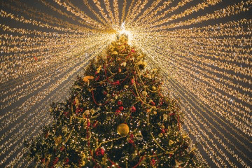 El árbol de Navidad más grande del mundo y con su récord Guinness se encuentra en Gubbio, Italia