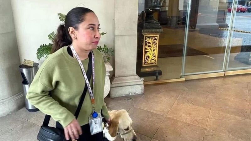 Hotel Safi se disculpa con mujer invidente por negarle el acceso con su perro guía