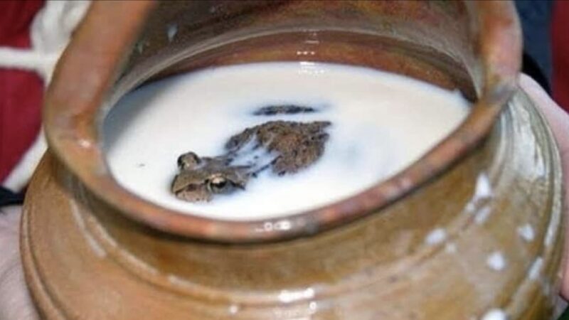 En Rusia utilizaban un método bastante inusual para conservar la leche fresca