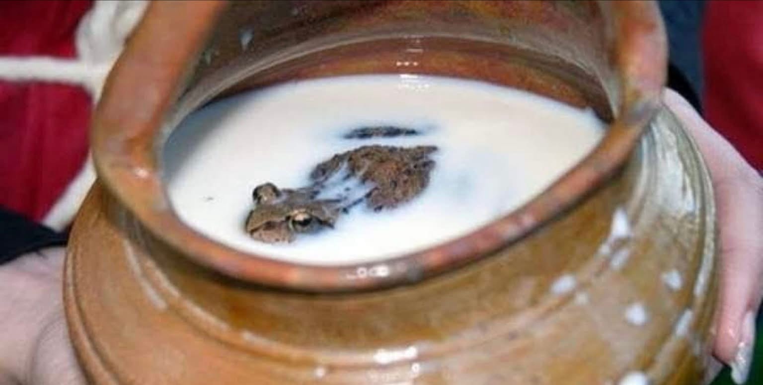 En Rusia utilizaban un método bastante inusual para conservar la leche fresca