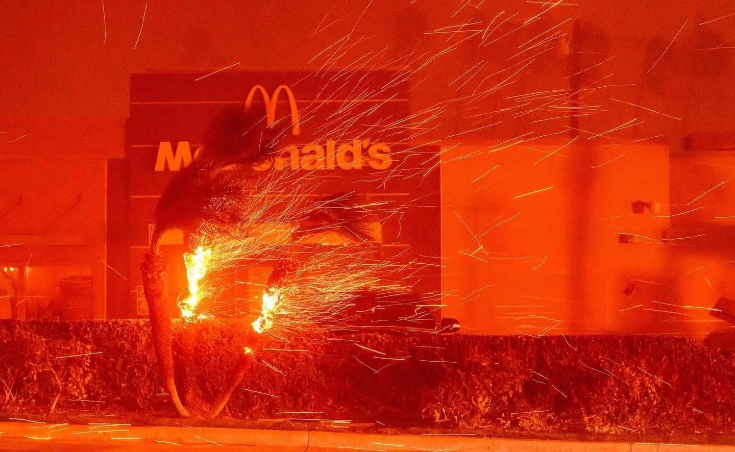 California, USA, es arrasado por cinco incendios forestales