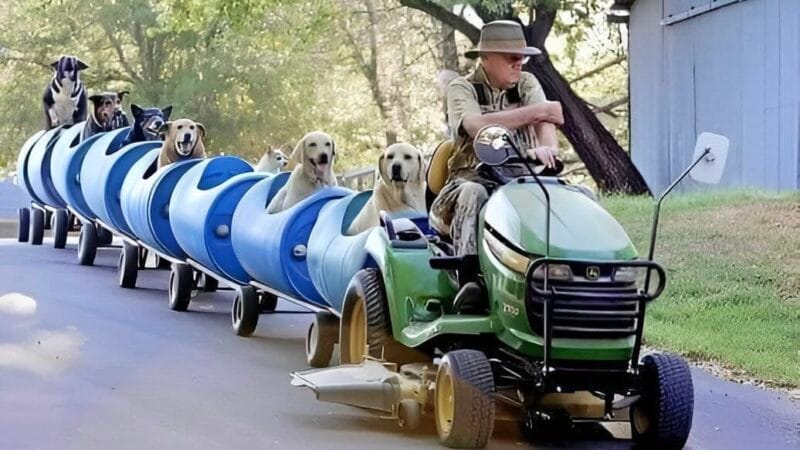 Eugene Bostick y su increíble tren para perros 