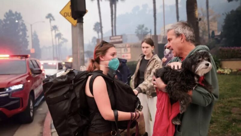 Veterinaria rescata a 41 mascotas de los incendios forestales en California