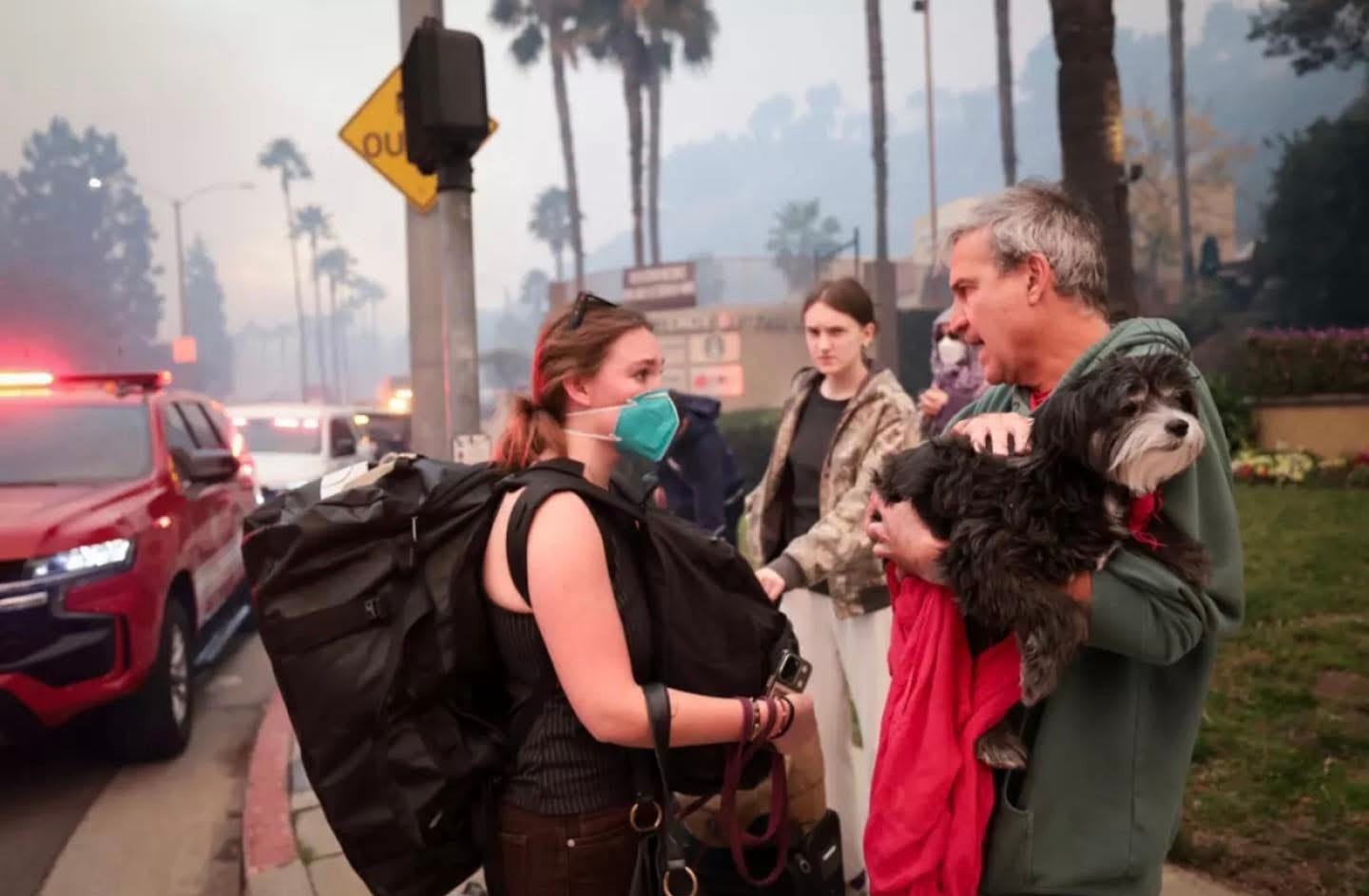 Veterinaria rescata a 41 mascotas de los incendios forestales en California