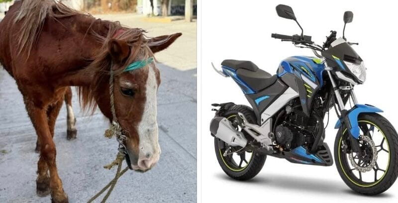 Ricardo Salinas Pliego regalará motocicleta para el retiro de “Pancho”, un caballo carretonero