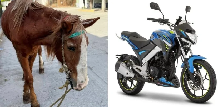 Ricardo Salinas Pliego regalará motocicleta para el retiro de “Pancho”, un caballo carretonero