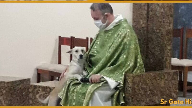 El Padre que Abre las Puertas de la Iglesia y su Corazón a los Animales