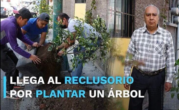 Adulto mayor fue detenido por plantar un árbol de limón en la CDMX&nbsp;