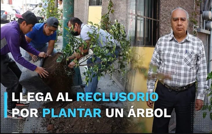 Adulto mayor fue detenido por plantar un árbol de limón en la CDMX