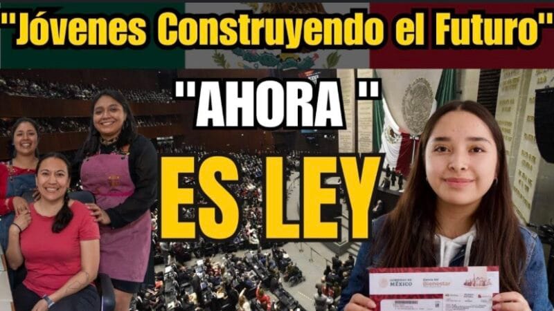 Senado aprueba reforma constitucional para garantizar apoyo económico a las y los jóvenes