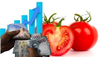 Estados Unidos va a imponer arancer a los tomates mexicanos. Entra en vigor el 14 de julio