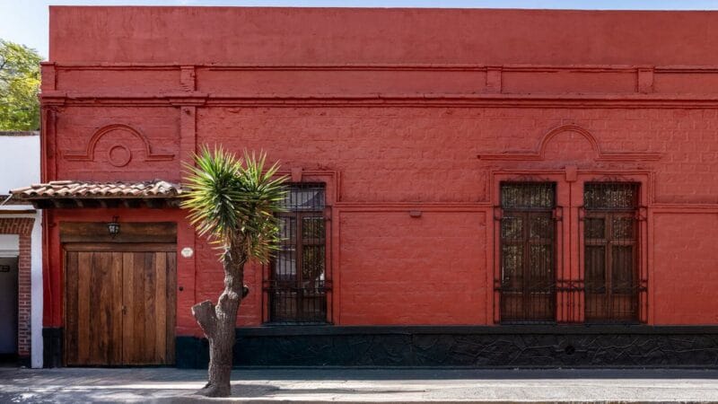 CDMX celebra la apertura del nuevo Museo Casa Kahlo!&nbsp;