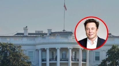 Estratega de Casa Blanca pide que deporten a Elon Musk tras lanzarse contra Trump: «es un alien ilegal»