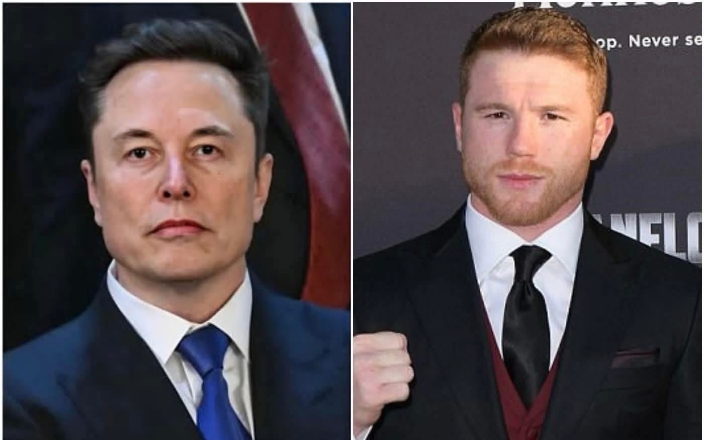 Canelo Álvarez sorprendió al mundo al rechazar la oferta de 10 millones de dólares de Elon Musk