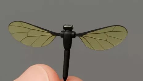 Así es el mosquito biónico que creó China para espionaje militar