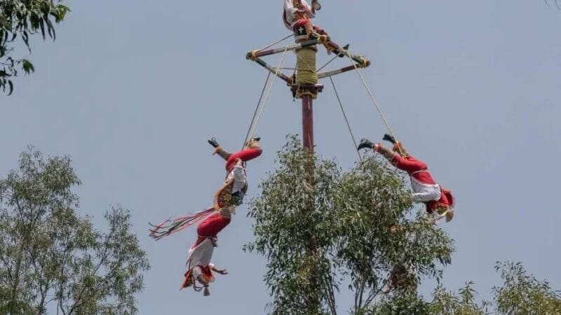Colapsa estructura de Voladores de Papantla y caen más de 10 metros en Tihuatlán, Veracruz