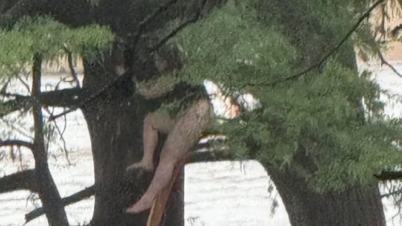 Una joven sobrevivió al aferrarse a un árbol en medio de las inundaciones registradas en Texas