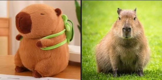 Día del Capibara: los roedores más amistosos y ahora, peluches de moda