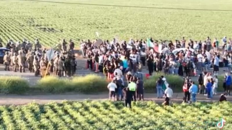 Arrestan a más de 360 migrantes en California