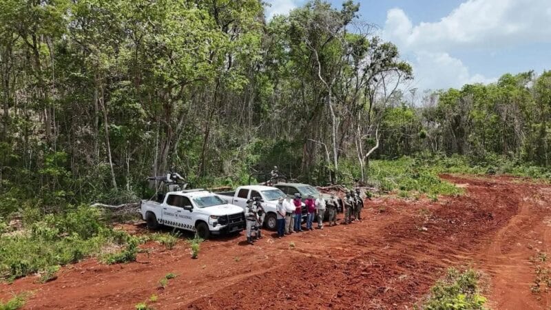 Menonitas deforestan kilómetros de selva Maya en el sureste mexicano
