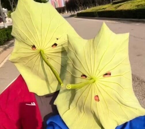 El curioso método de las mujeres chinas para proteger su rostro del sol