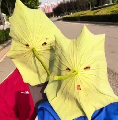 El curioso método de las mujeres chinas para proteger su rostro del sol
