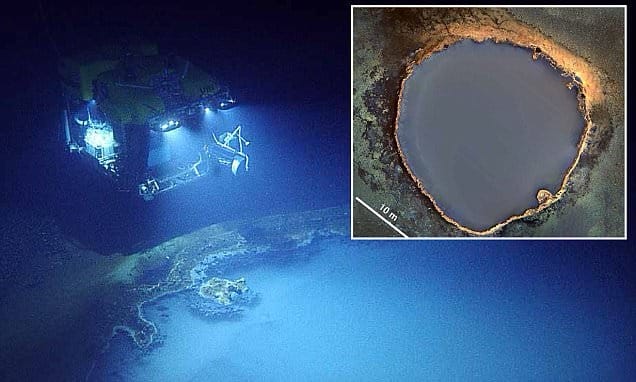 En el fondo del Golfo de México está el «jacuzzi de la desesperación», una piscina de salmuera que acaba con todo lo que entra