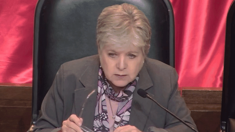 Semarnat revisa impacto ambiental del Tren Maya y busca su regularización: Bárcena