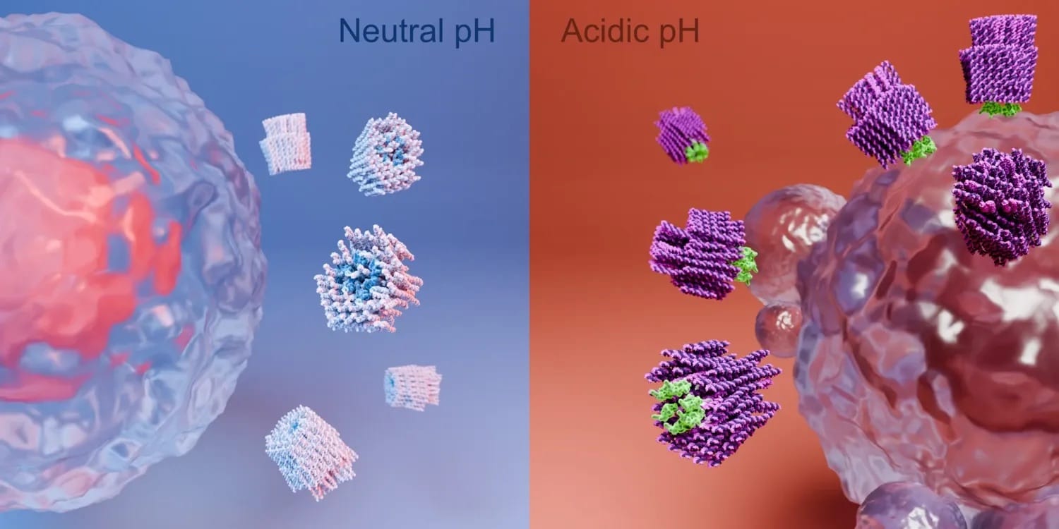 Nanorobot atacará a las células cancerosas y protegerá a las sanas