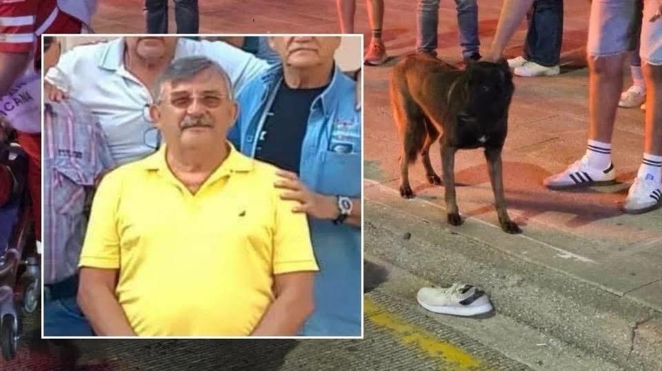 Danilo murió en el asfalto, pero su perro no se movió de su lado